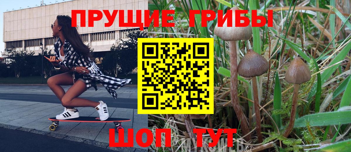 Галлюциногенные грибы Psilocybine cubensis  Псилоцибиновые грибы мицелий  Ангарск  Вход с VPN 